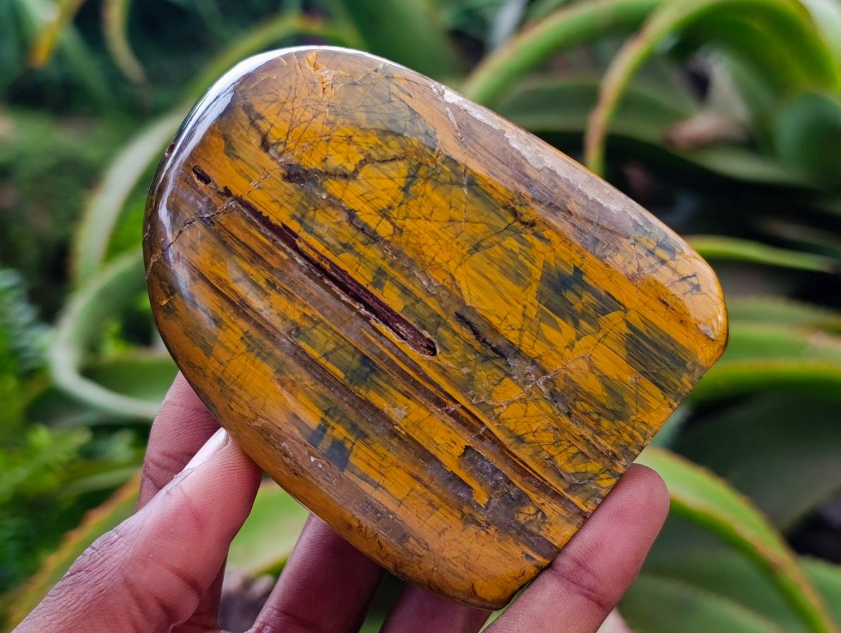 Polished Golden Tigers Eye With Banded Iron Stone Standing Free Forms x 3 From Prieska, South Africa