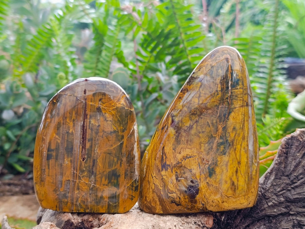 Polished Neolite Tigers Eye Standing Free Forms x 3 From Prieska, South Africa