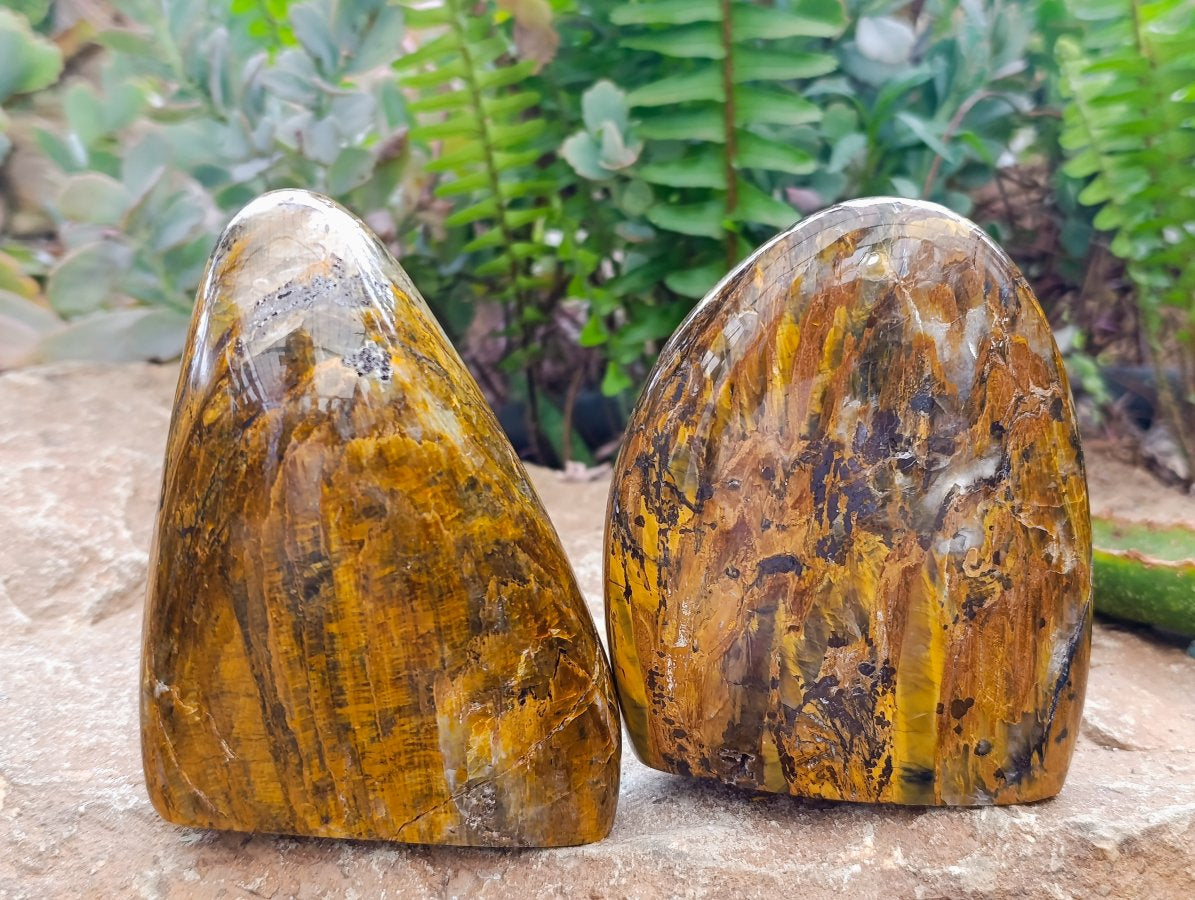Polished Neolite Tigers Eye Standing Free Forms x 3 From Prieska, South Africa