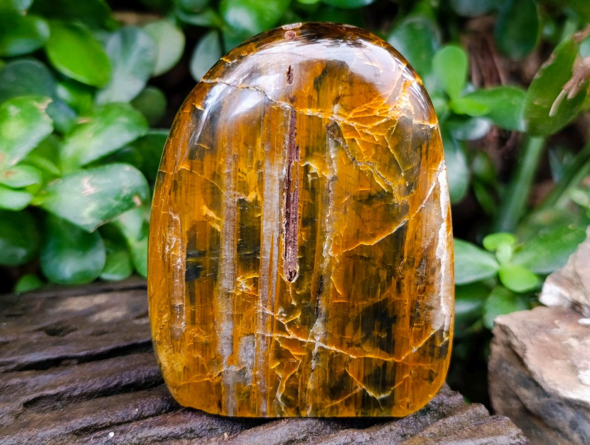 Polished Neolite Tigers Eye Standing Free Forms x 3 From Prieska, South Africa