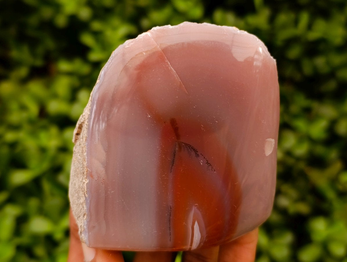 Polished One Side Red Shashe River Agate Nodules x 4 From Shashe River, Zimbabwe