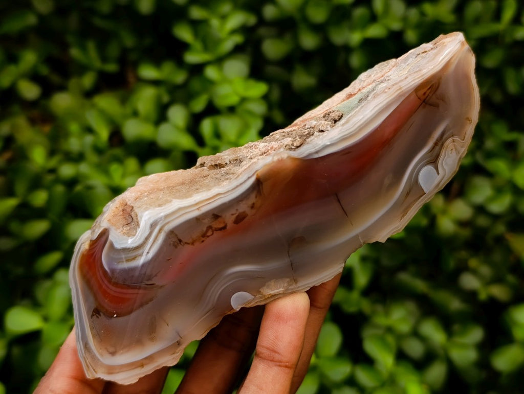 Polished One Side Red Shashe River Agate Nodules x 4 From Shashe River, Zimbabwe
