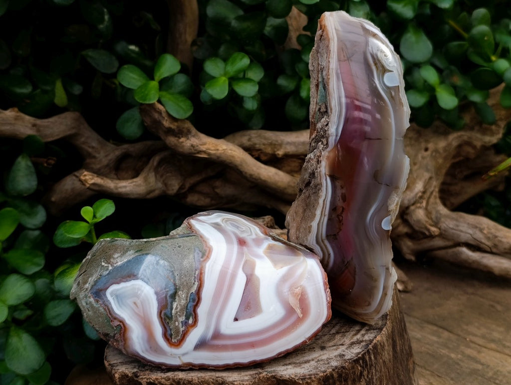 Polished One Side Red Shashe River Agate Nodules x 4 From Shashe River, Zimbabwe