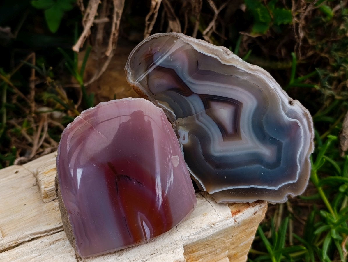 Polished One Side Red Shashe River Agate Nodules x 4 From Shashe River, Zimbabwe