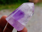Polished Window Amethyst Crystals x 12 From Akansobe, Madagascar