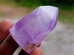 Polished Window Amethyst Crystals x 12 From Akansobe, Madagascar