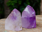 Polished Window Amethyst Crystals x 12 From Akansobe, Madagascar