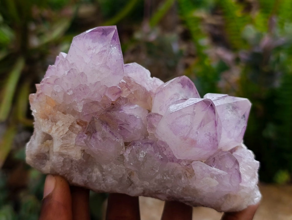 Natural Cactus Flower Amethyst Spirit Clusters x 4 From South Africa