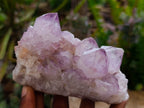Natural Cactus Flower Amethyst Spirit Clusters x 4 From South Africa