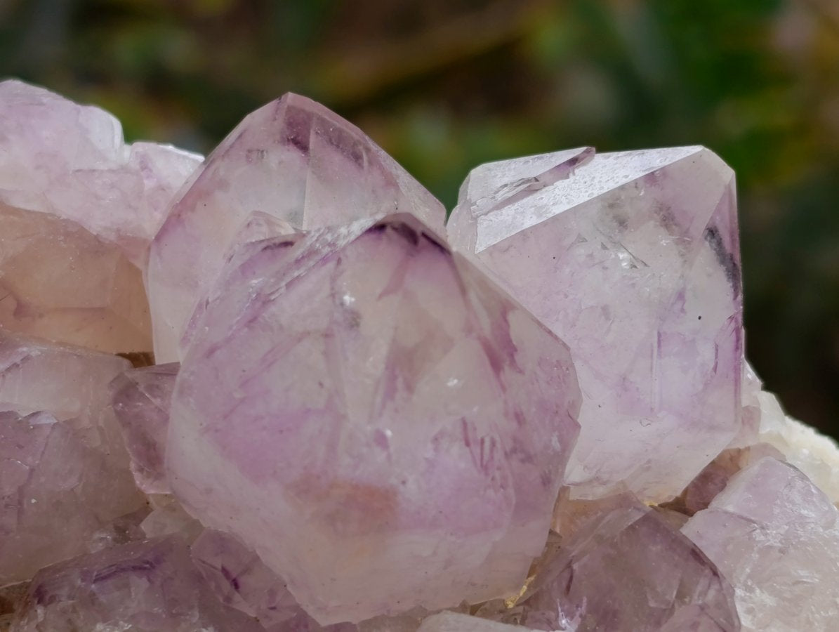 Natural Cactus Flower Amethyst Spirit Clusters x 4 From South Africa