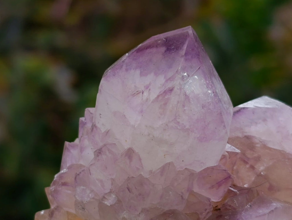Natural Cactus Flower Amethyst Spirit Clusters x 4 From South Africa
