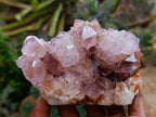 Natural Cactus Flower Amethyst Spirit Clusters x 4 From South Africa