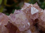 Natural Cactus Flower Amethyst Spirit Clusters x 4 From South Africa