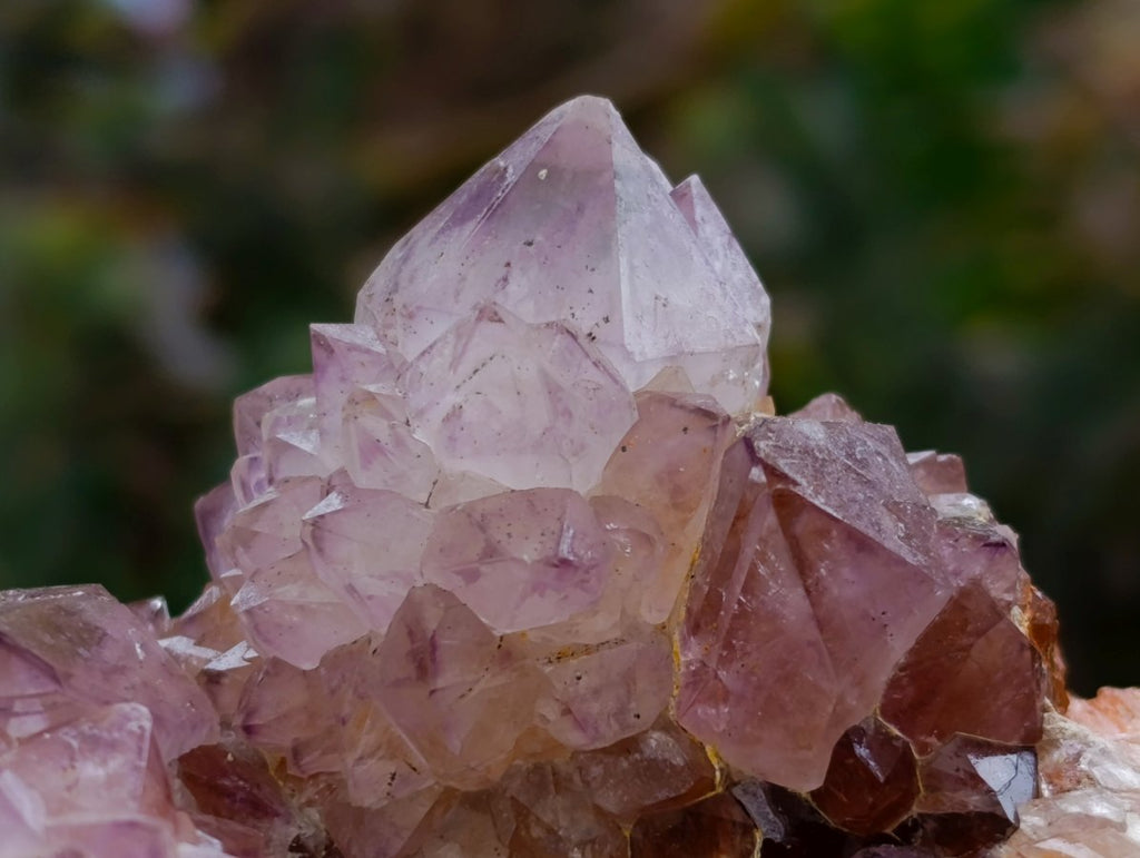 Natural Cactus Flower Amethyst Spirit Clusters x 4 From South Africa