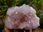 Natural Cactus Flower Amethyst Spirit Clusters x 4 From South Africa