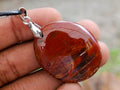 Hand Made Red Podocarpus Petrified Wood Mixed Shaped Pendants x 12 From Madagascar
