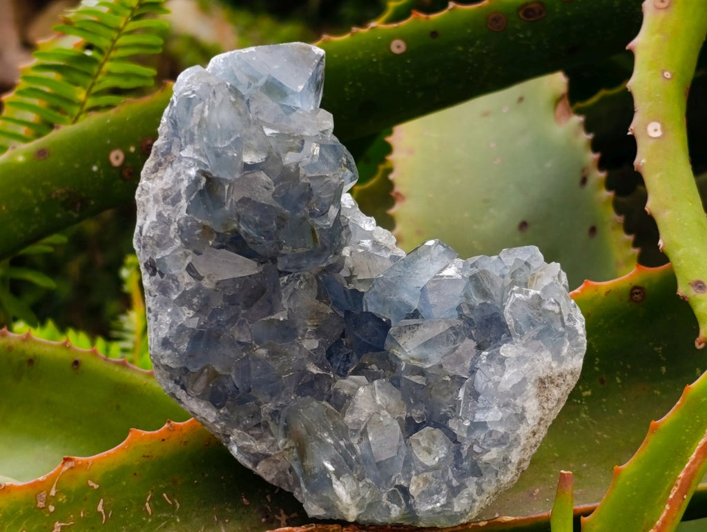 Natural Blue Celestite Specimens x 2 From Sakoany, Madagascar