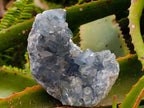 Natural Blue Celestite Specimens x 2 From Sakoany, Madagascar