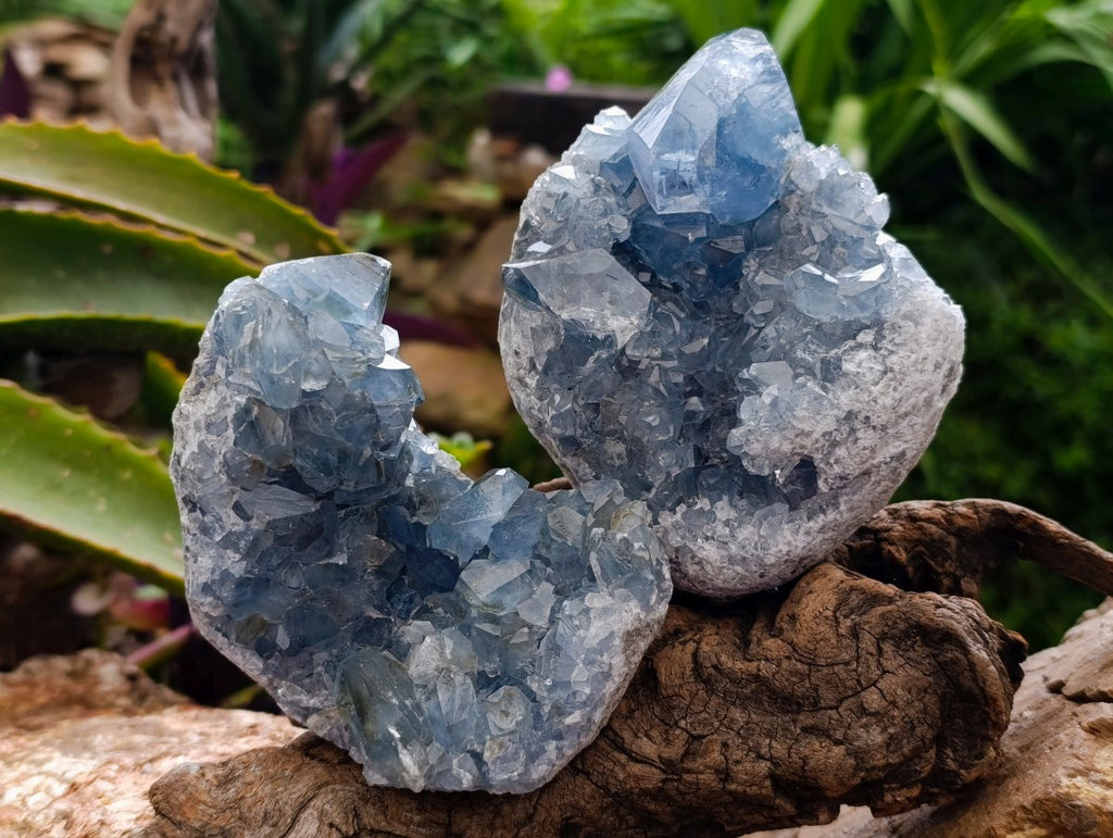 Natural Blue Celestite Specimens x 2 From Sakoany, Madagascar