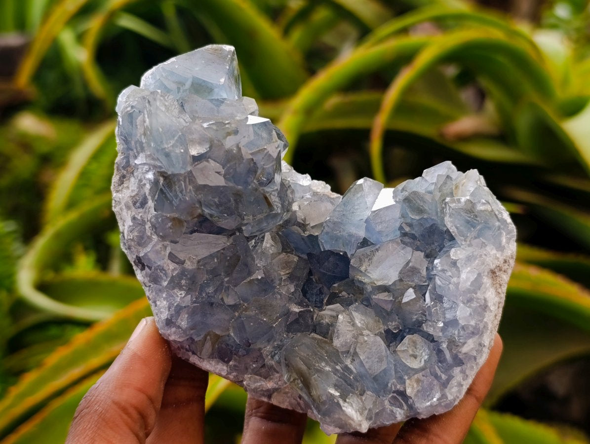 Natural Blue Celestite Specimens x 2 From Sakoany, Madagascar