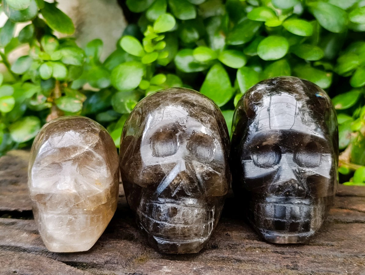 Hand Made Smokey Window Quartz Skull Carvings x 3 From Madagascar