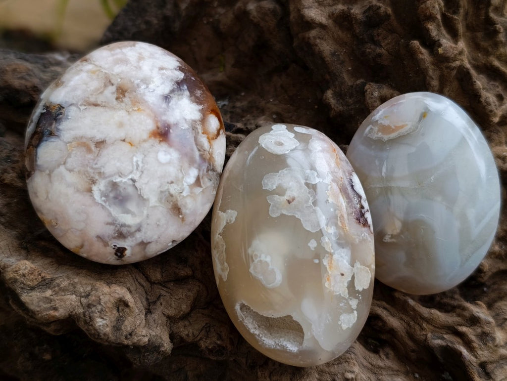 Polished Flower Agate Palm Stones x 20 From Antsahalova, Madagascar