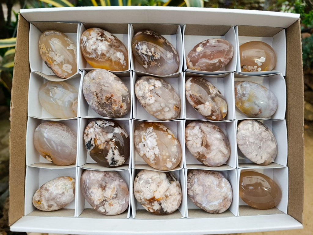 Polished Flower Agate Palm Stones x 20 From Antsahalova, Madagascar