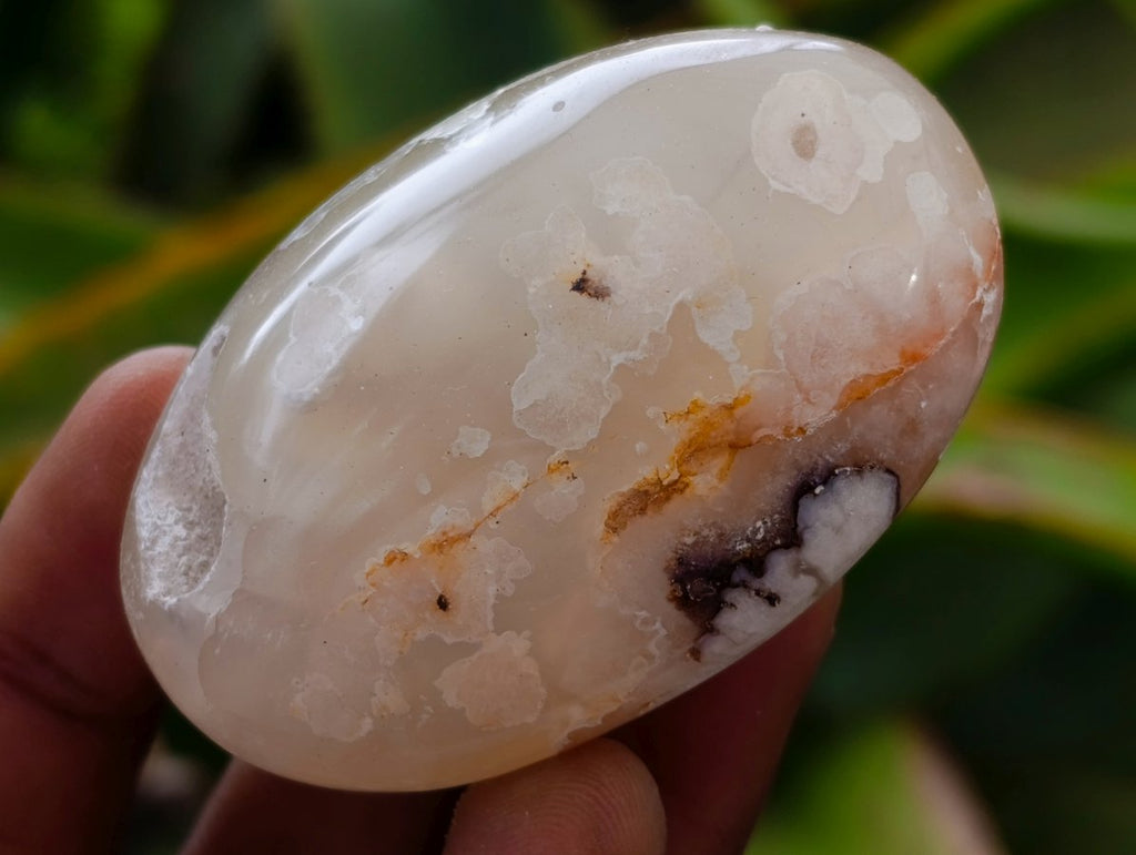 Polished Flower Agate Palm Stones x 20 From Antsahalova, Madagascar