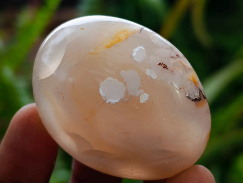 Polished Flower Agate Palm Stones x 20 From Antsahalova, Madagascar