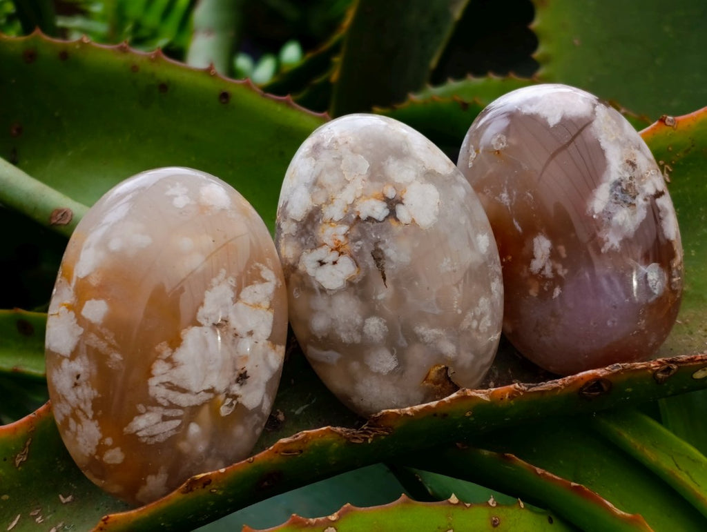 Polished Flower Agate Palm Stones x 20 From Antsahalova, Madagascar