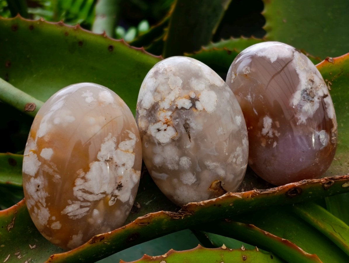 Polished Flower Agate Palm Stones x 20 From Antsahalova, Madagascar