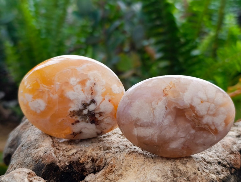 Polished Flower Agate Palm Stones x 20 From Antsahalova, Madagascar