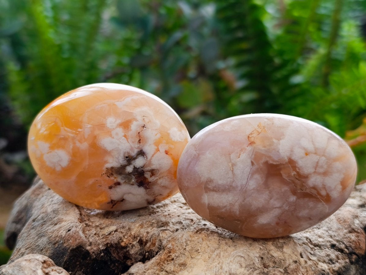 Polished Flower Agate Palm Stones x 20 From Antsahalova, Madagascar