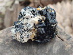 Natural Schorl Black Tourmaline with Feldspar x 3 From Erongo, Namibia