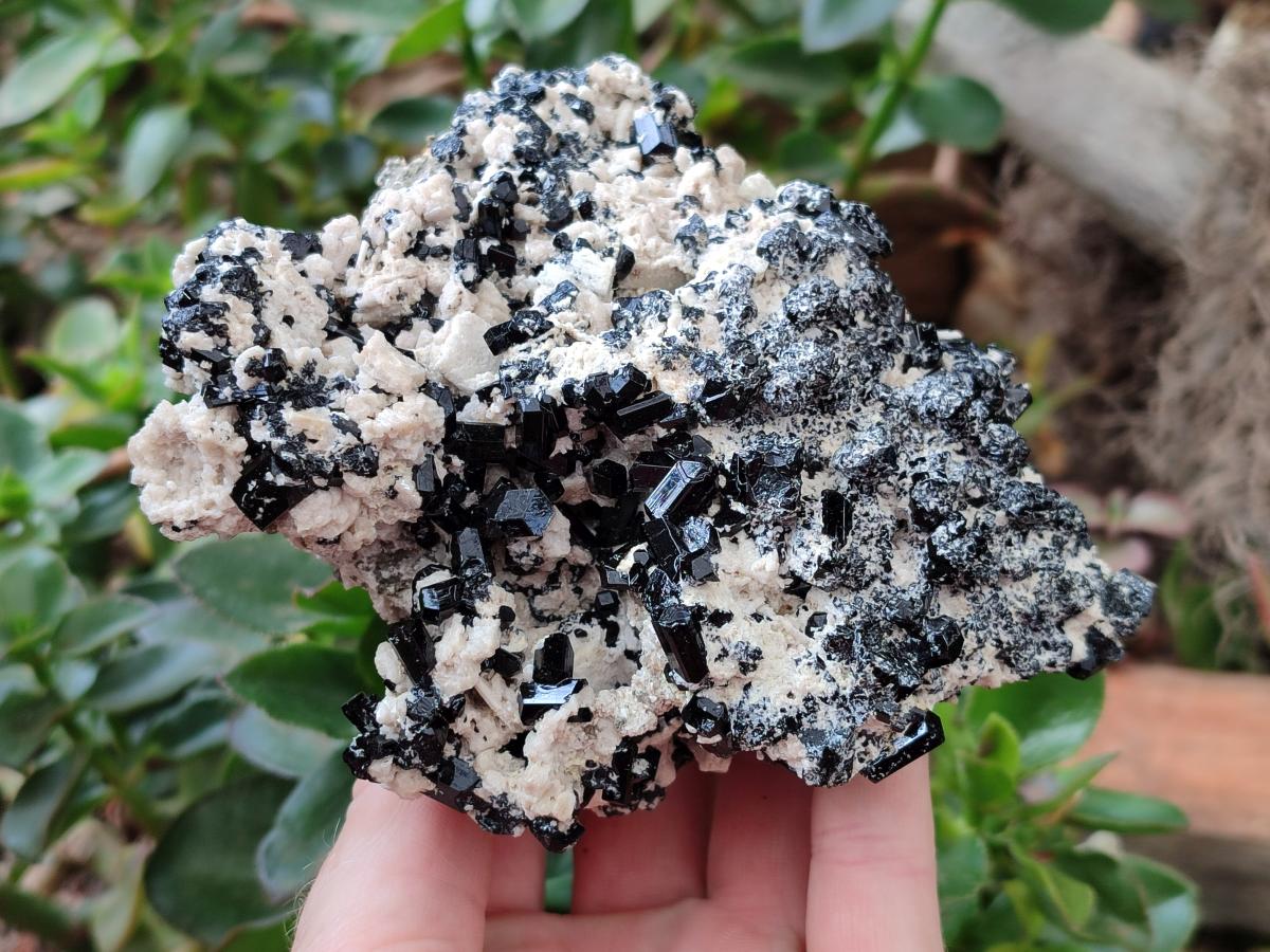 Natural Schorl Black Tourmaline with Feldspar x 3 From Erongo, Namibia