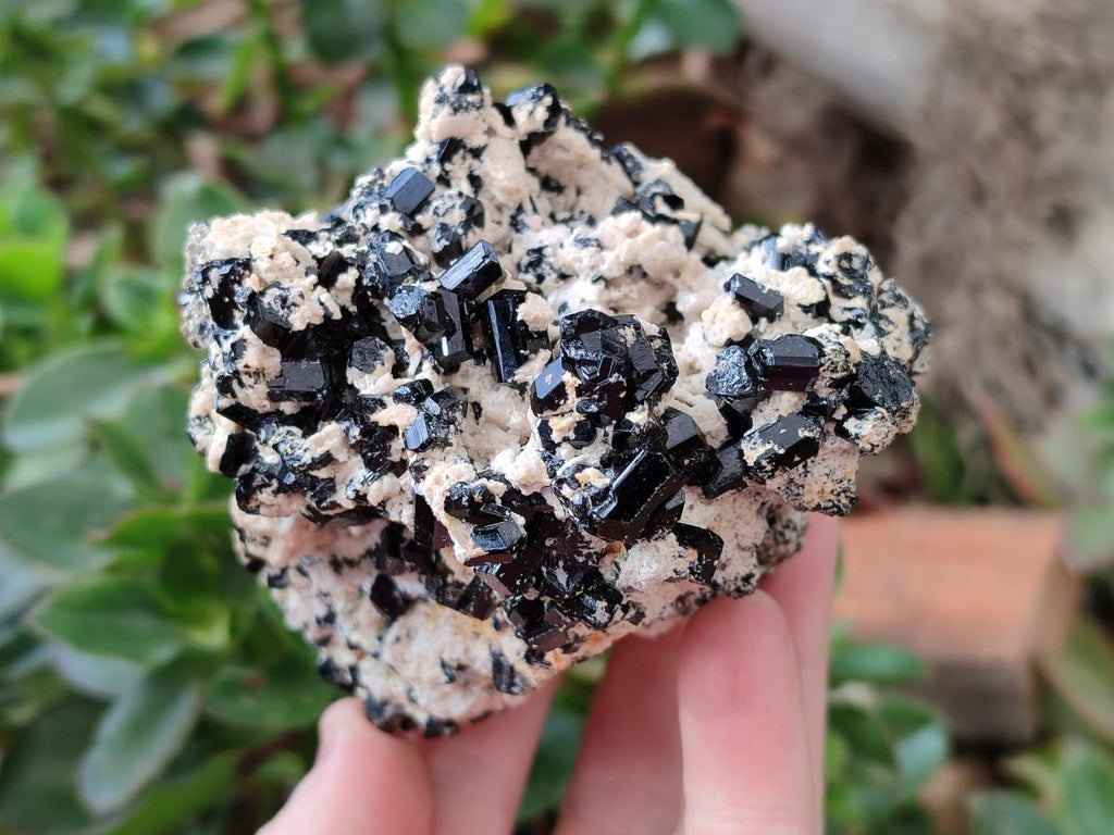 Natural Schorl Black Tourmaline with Feldspar x 3 From Erongo, Namibia