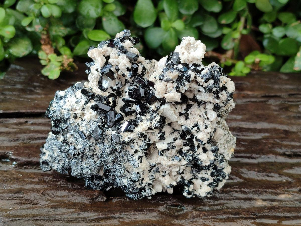 Natural Schorl Black Tourmaline with Feldspar x 3 From Erongo, Namibia