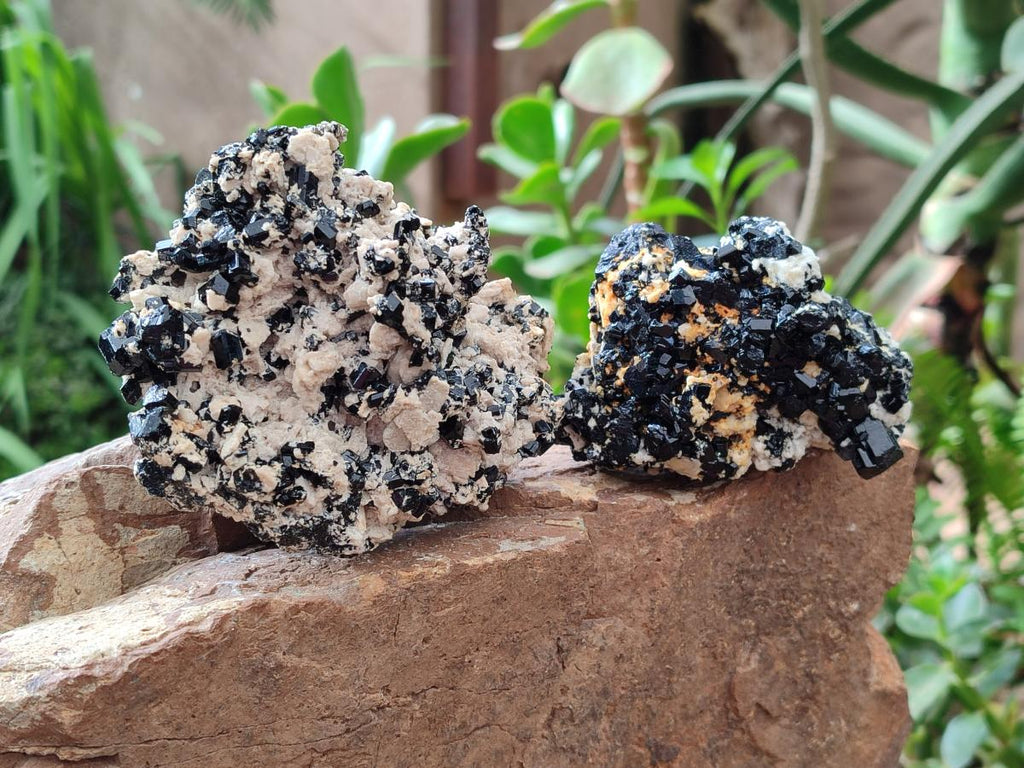 Natural Schorl Black Tourmaline with Feldspar x 3 From Erongo, Namibia