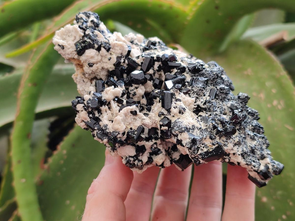 Natural Schorl Black Tourmaline with Feldspar x 3 From Erongo, Namibia