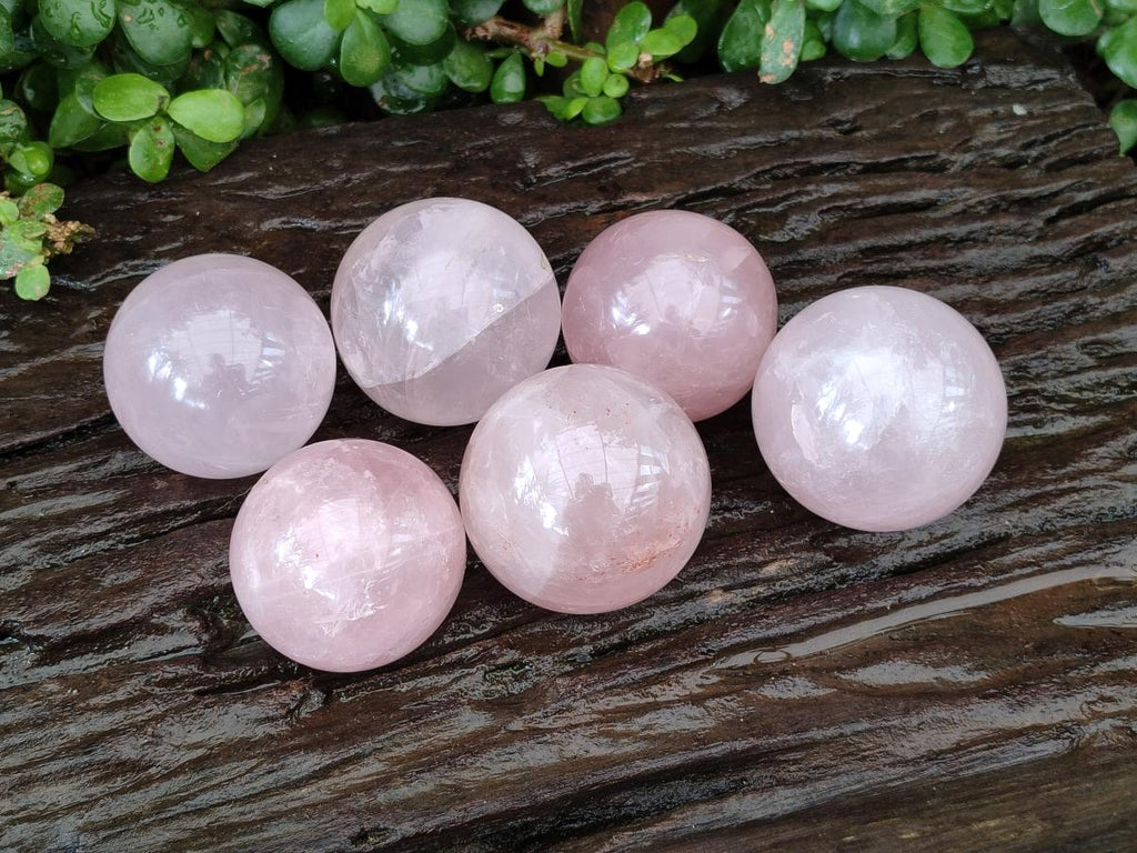 Polished Gemmy Star Rose Quartz Spheres x 6 From Madagascar