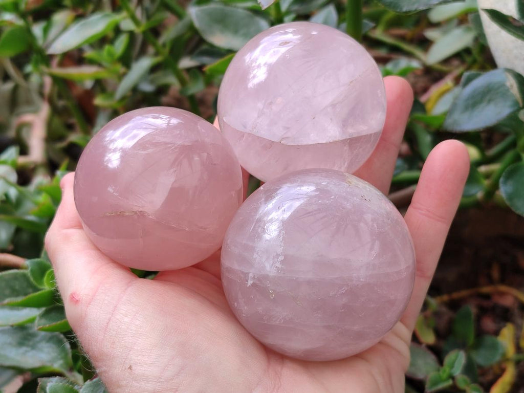 Polished Gemmy Star Rose Quartz Spheres x 6 From Madagascar