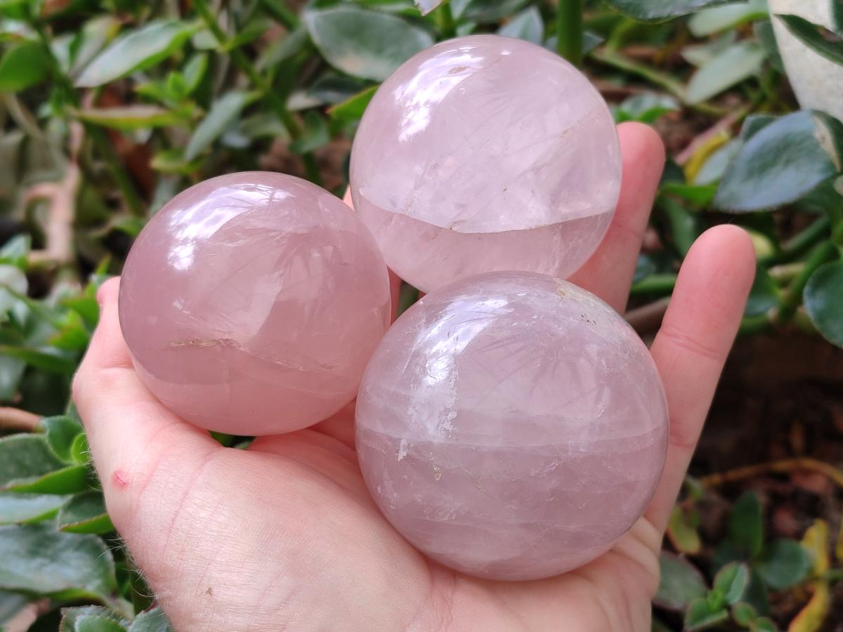 Polished Gemmy Star Rose Quartz Spheres x 6 From Madagascar