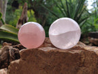 Polished Gemmy Star Rose Quartz Spheres x 6 From Madagascar