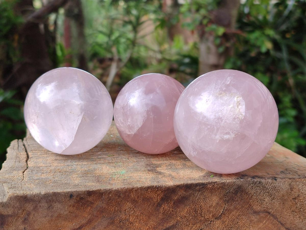 Polished Gemmy Star Rose Quartz Spheres x 6 From Madagascar