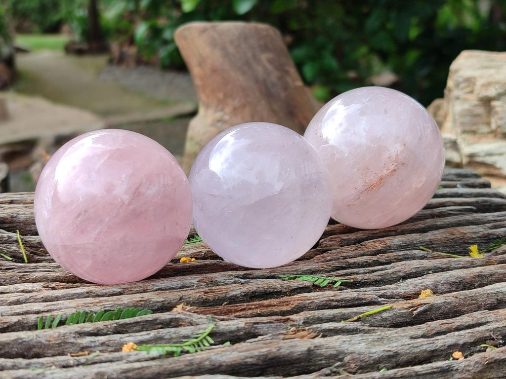 Polished Gemmy Star Rose Quartz Spheres x 6 From Madagascar