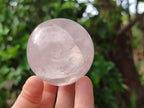 Polished Gemmy Star Rose Quartz Spheres x 6 From Madagascar