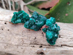 Natural Mini Dioptase on Dolomite Specimens x 24 From Likasi, Congo