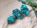 Natural Mini Dioptase on Dolomite Specimens x 24 From Likasi, Congo