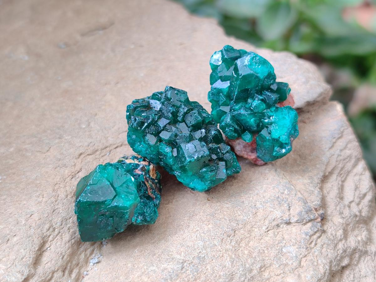 Natural Mini Dioptase on Dolomite Specimens x 24 From Likasi, Congo