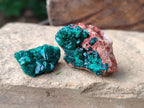 Natural Mini Dioptase on Dolomite Specimens x 24 From Likasi, Congo